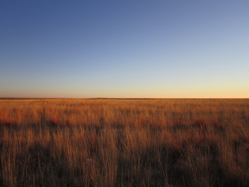 From confluence point, facing south.