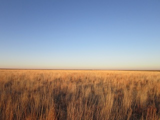 #1: From confluence point, facing north