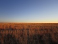 #3: From confluence point, facing south.