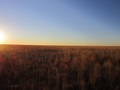 #4: From confluence point, facing west.