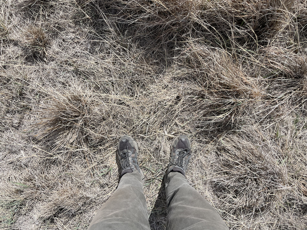 Ground cover