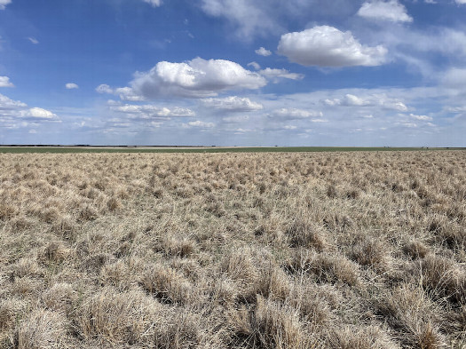 #1: View SE to the confluence in the foreground