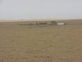 #6: View from the confluence to the northwest, toward Mount Sunflower.