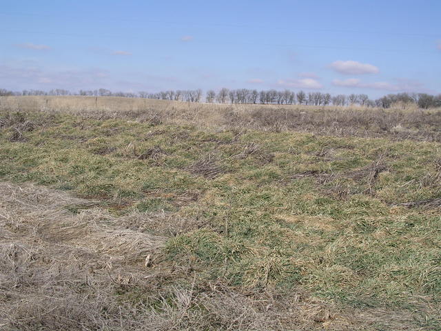 Looking north towards Nebraska from 40N 96W.