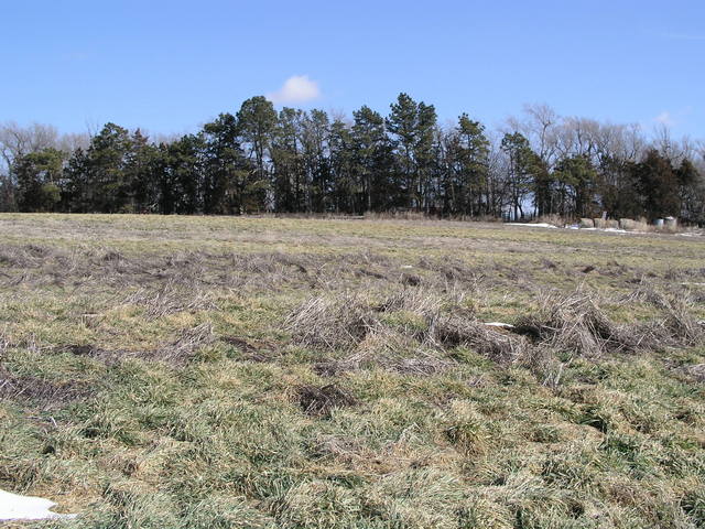 Looking east towards the farmstead from 40N 96W.