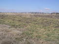 #2: Looking north towards Nebraska from 40N 96W.