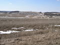 #5: Cattle graze to the west of 40N 96W.