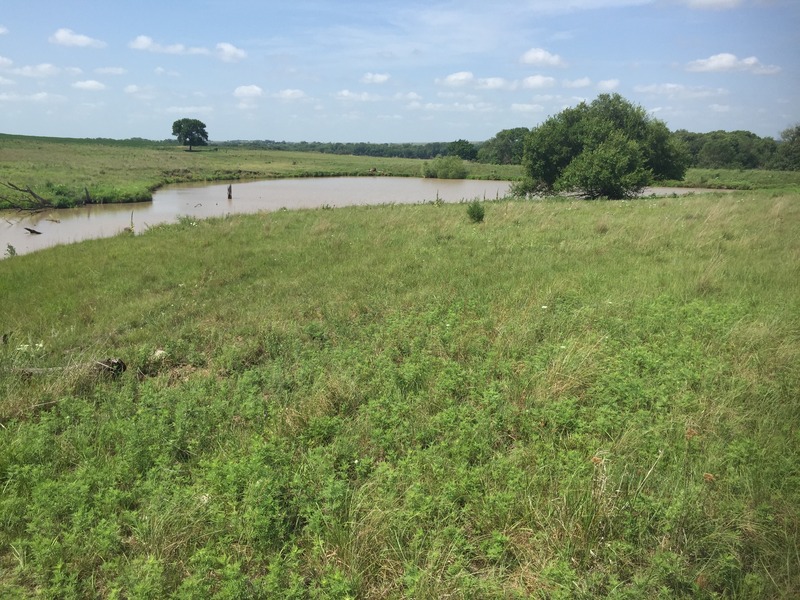 View of confluence of 40 North 97, in the foreground, looking southwest.