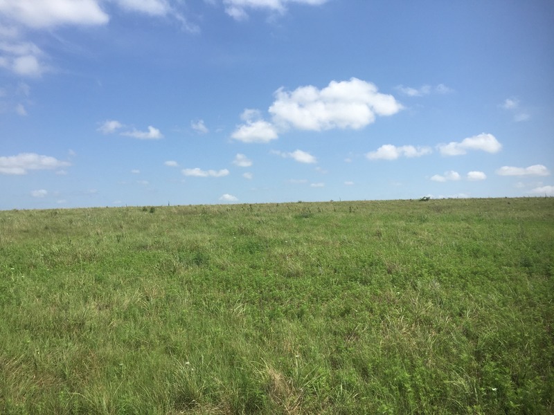 View to the north from the confluence. 