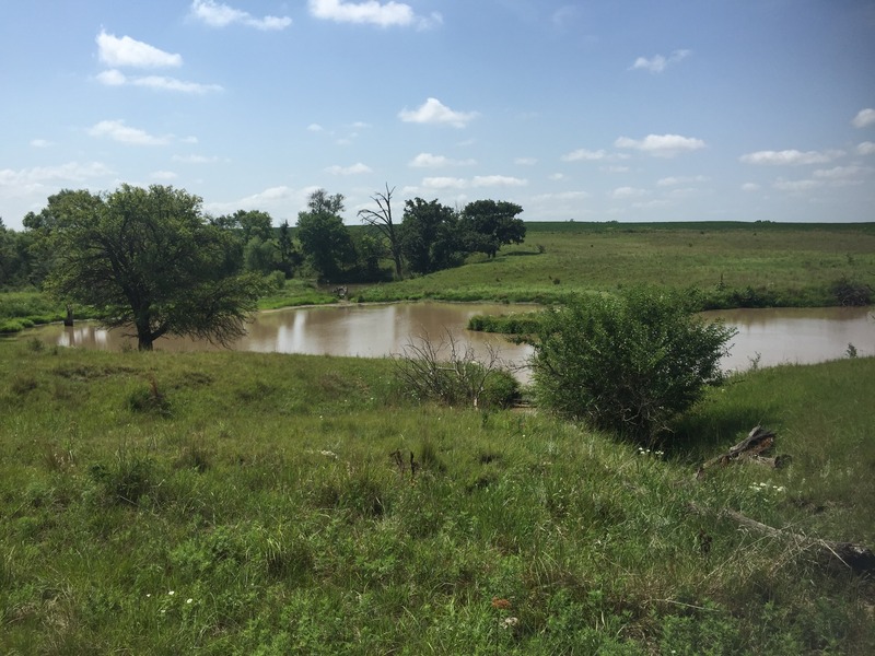 View to the south from the confluence. 