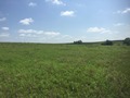 #6: View to the east from the confluence. 