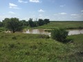 #7: View to the south from the confluence. 