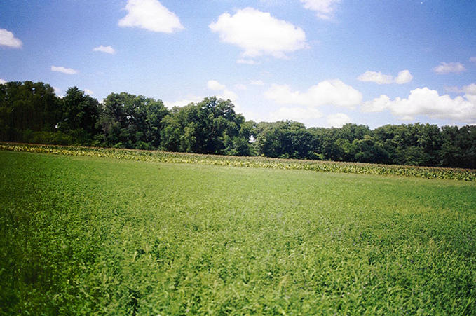 Looking north, the direction from which we came