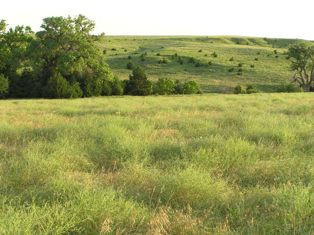 View to the west from the confluence.