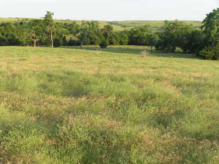 #1: View to the south from 40 North 99 West.