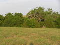 #2: View to the east from the confluence.