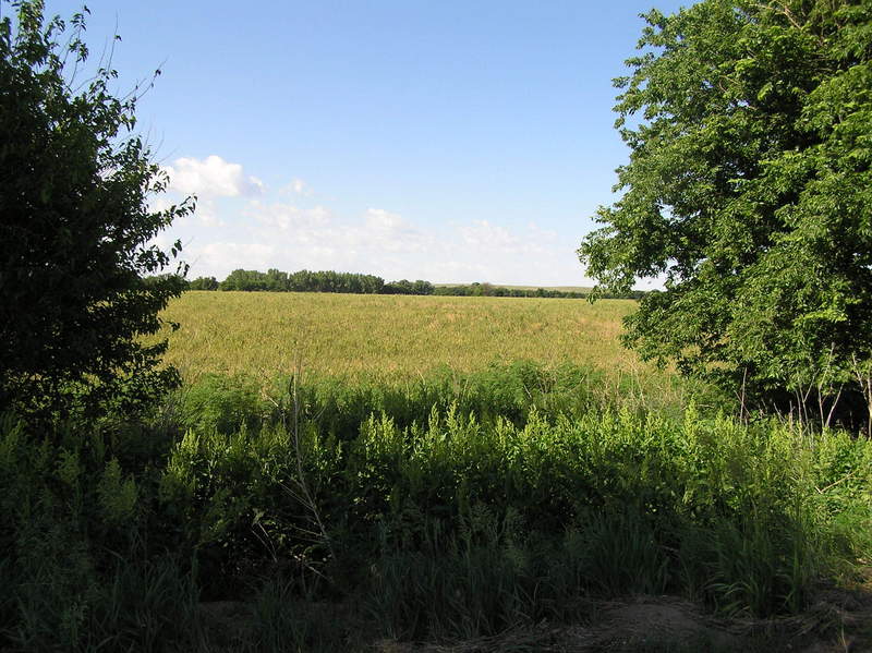 Starting point for the confluence hike, looking south into Kansas from east-west road in Nebraska a few hundred meters north of the 40th Parallel.