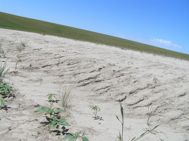 Close-up view of the road, soil, and ground at the confluence, looking west-southwest.