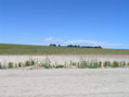 #4: View to the west from the confluence.