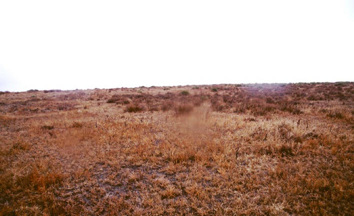 Looking north at a small ridge.  Note the water spots on the lens - it was wet