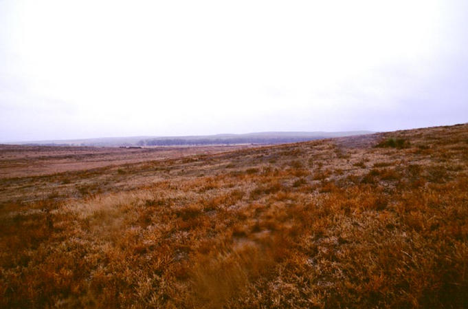 Looking west at more rangeland