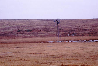 #1: Looking south from the confluence at a windmill