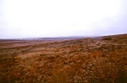 #3: Looking west at more rangeland