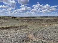 #8: Little dip to traverse on the way back from confluence into irrigation circle area