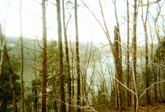 #1: Looking North from the Confluence