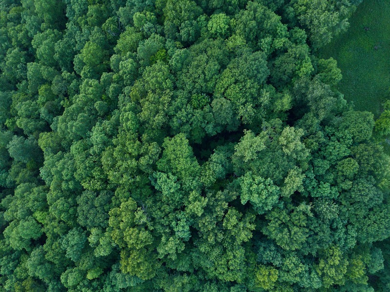 View of the point from about 400 feet up