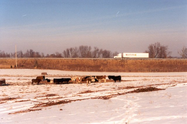 Looking north from the confluence at the Cumberland Parkway