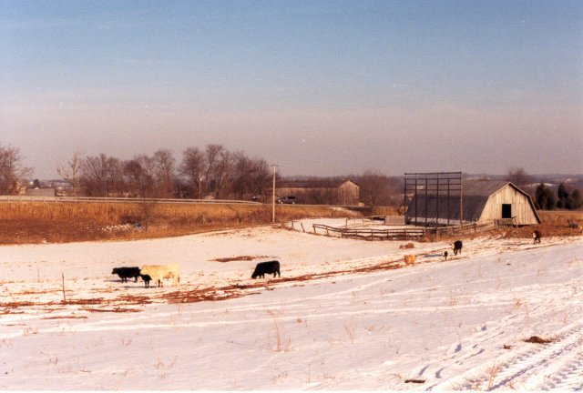 Looking NE from the confluence