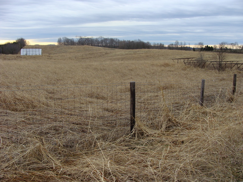 Looking due south to 37N 86W from farm lane