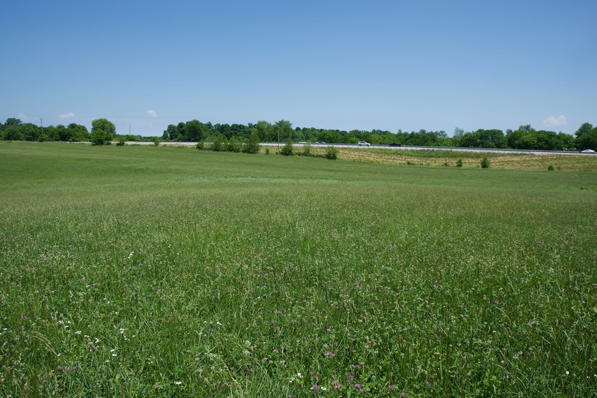 View North (towards the nearby Cumberland Parkway freeway)