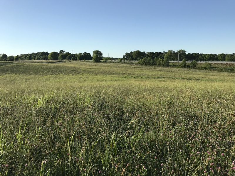 View to the north from the confluence.