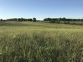 #5: View to the north from the confluence.