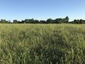 #7: View to the south from the confluence.