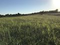 #8: View to the west from the confluence. 