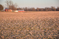 #9: Typical farm in this area