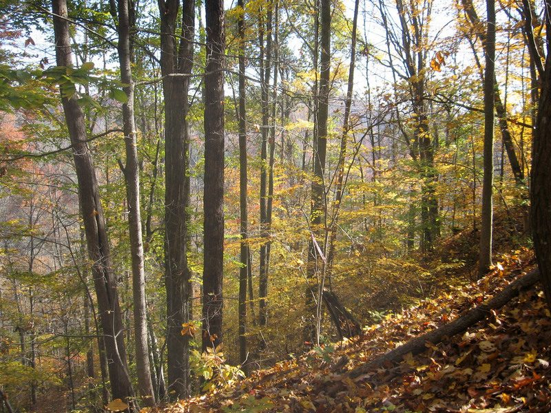 View to the east...note the slope