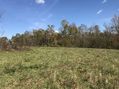 #6: View to the east from the confluence point of 38 North 84 West.