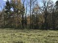 #7: View to the south from the confluence point of 38 North 84 West.