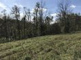 #8: View to the west from the confluence point of 38 North 84 West.