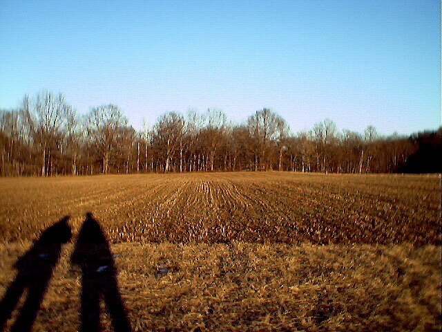 Looking east, two shadows at dusk