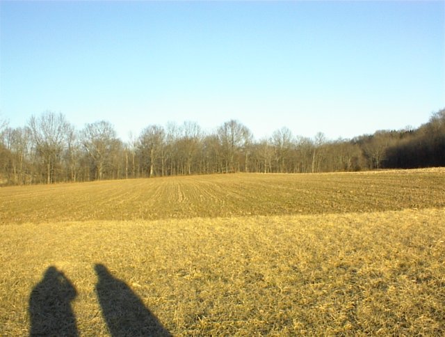 Looking east from the confluence point