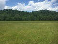 #5: View to the north from the confluence.