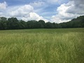 #6: View to the east from the confluence.