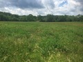 #8: View to the west from the confluence.