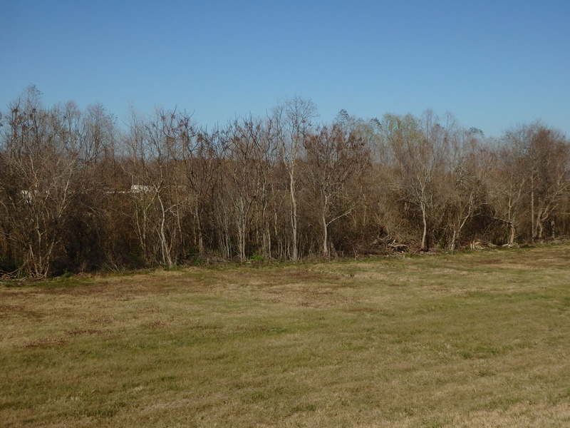 The Confluence from 30 m distance