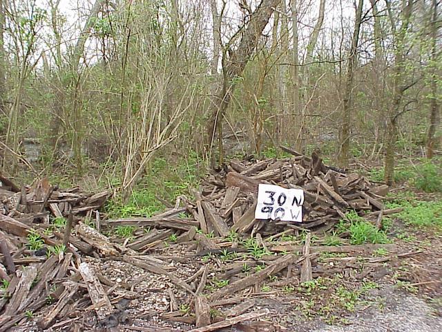 Looking south to the site of confluence 30 North, 90 West along the Mississippi Delta.